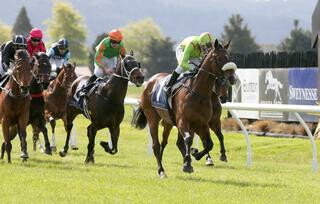 Packing Eagle (NZ) claimed the Group 3 Sweynesse Stakes at Rotorua. Photo: Trish Dunell